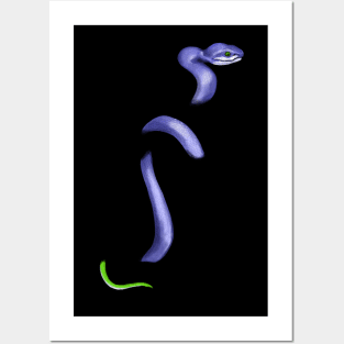 snek 2 Posters and Art